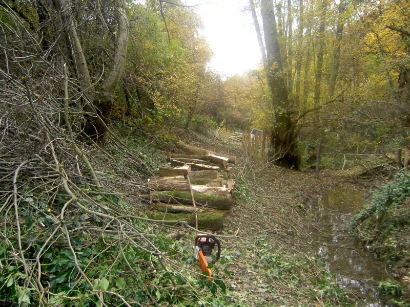 J aimerais avoir un chenillard - J'aimarais bien avoir un chenillard Bois_210