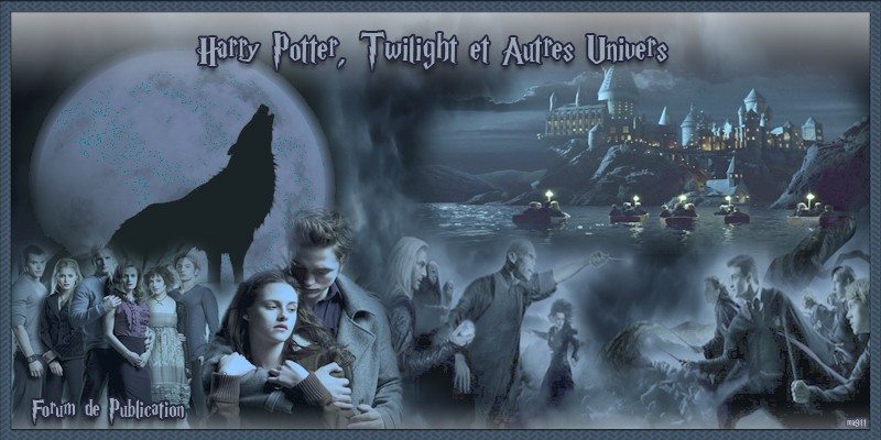 Harry Potter,Twilight et autre univers - Fanfictions 