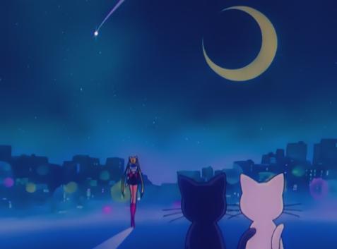 Twenty Years of Sailor Moon ~ Memories ~  310