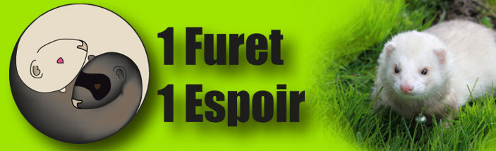  1furet 1espoir