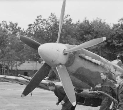 [Concours "Les 80 Ans des FAFL"] Spitfire F MK XIVe - Academy - 1/48 - J Maridor (MàJ 17.06.2020) - Page 3 Royal_11
