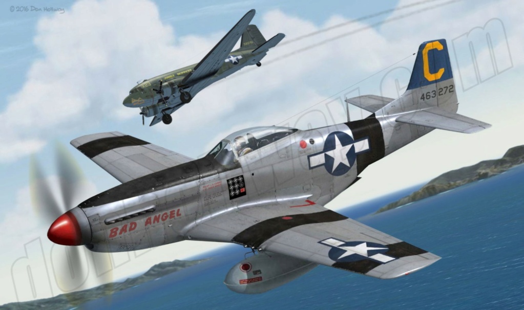 [Concours ”la guerre du pacifique 1941-1945 ”] P-51D Mustang - Eduard - 1/48 (MàJ 31.12.2021) Situat11