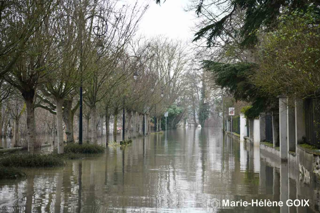 Crue à Paris en 1910 * 2018-010