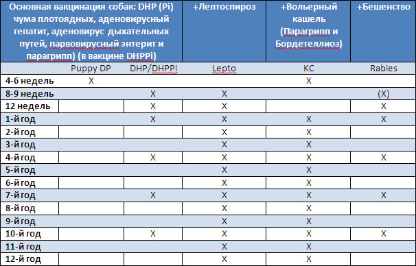 Прививки собаке 3 года. График прививок Нобивак для щенков. Схема прививок Nobivac для собак. Нобивак для собак график прививок. Нобивак таблица прививок для собак.