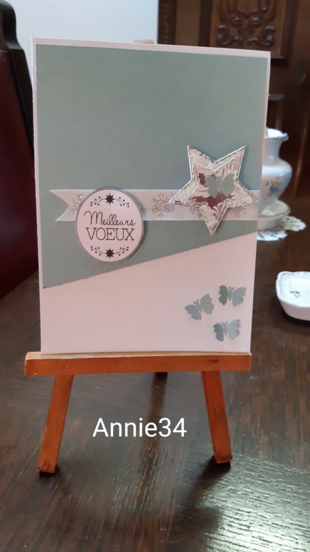 JANVIER - Galerie de Janvier 2019 Annie315