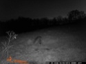 Wildgame Innovations N6 Review 1_6210