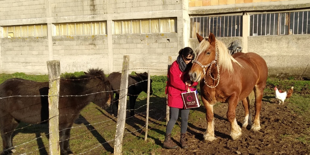 ANNA CENTQUARANTESEPT – ONC Trait née en 2010 – Adoptée en juin 2017 par Freedling Img_2013