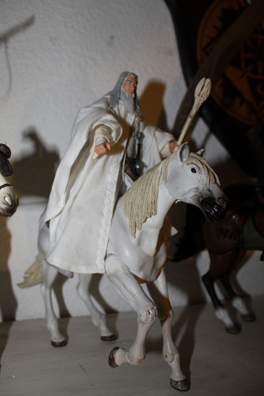 collection 430 : Le Seigneur des Anneaux / Vincent66 Img_6924