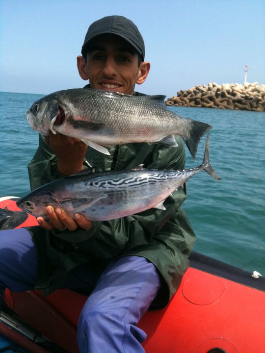 Petite sortie de pêche (traîne côtière à Temara) Bonite12