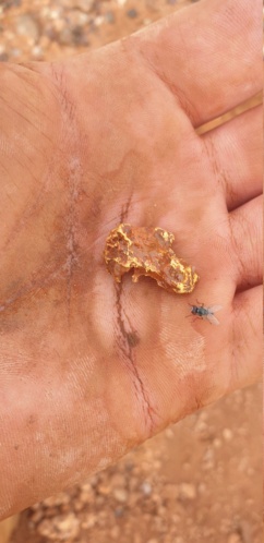 A bit of Pilbara gold 20211110