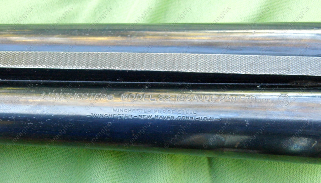 Shotgun Cooey-Winchester modèle 84  Winch493