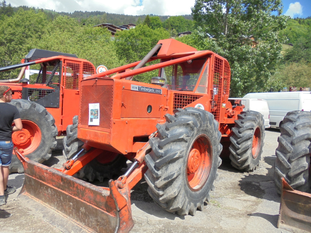 74260 Les Gets, 9- 10-11 juin 2023 , concours de débardage Dsc01618