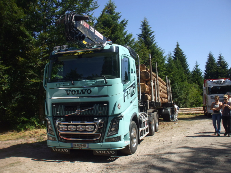 88 - Haut du Tôt :  Fête du bois et expo tracteurs les 7/8 Juillet 2018  Dscf1420