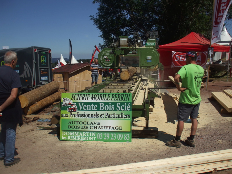 88 - Haut du Tôt :  Fête du bois et expo tracteurs les 7/8 Juillet 2018  Dscf1511