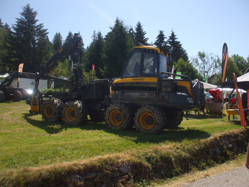 88 - Haut du Tôt :  Fête du bois et expo tracteurs les 7/8 Juillet 2018  Dscf1512