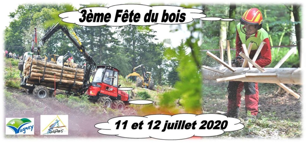 88 Vosges Haut du Tot , 3eme fete du bois 11-12 juillet 2020 Haut_d11