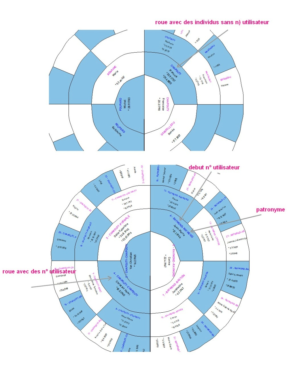 [Suggestion] Nouvelle roue et informations complémentaires Sans_t23