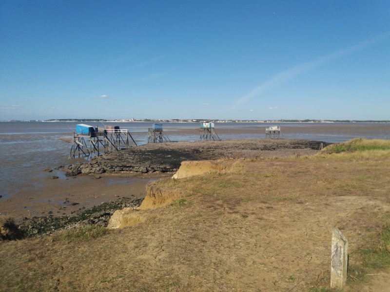 Port des Barques et l'Ile Madame 20200913