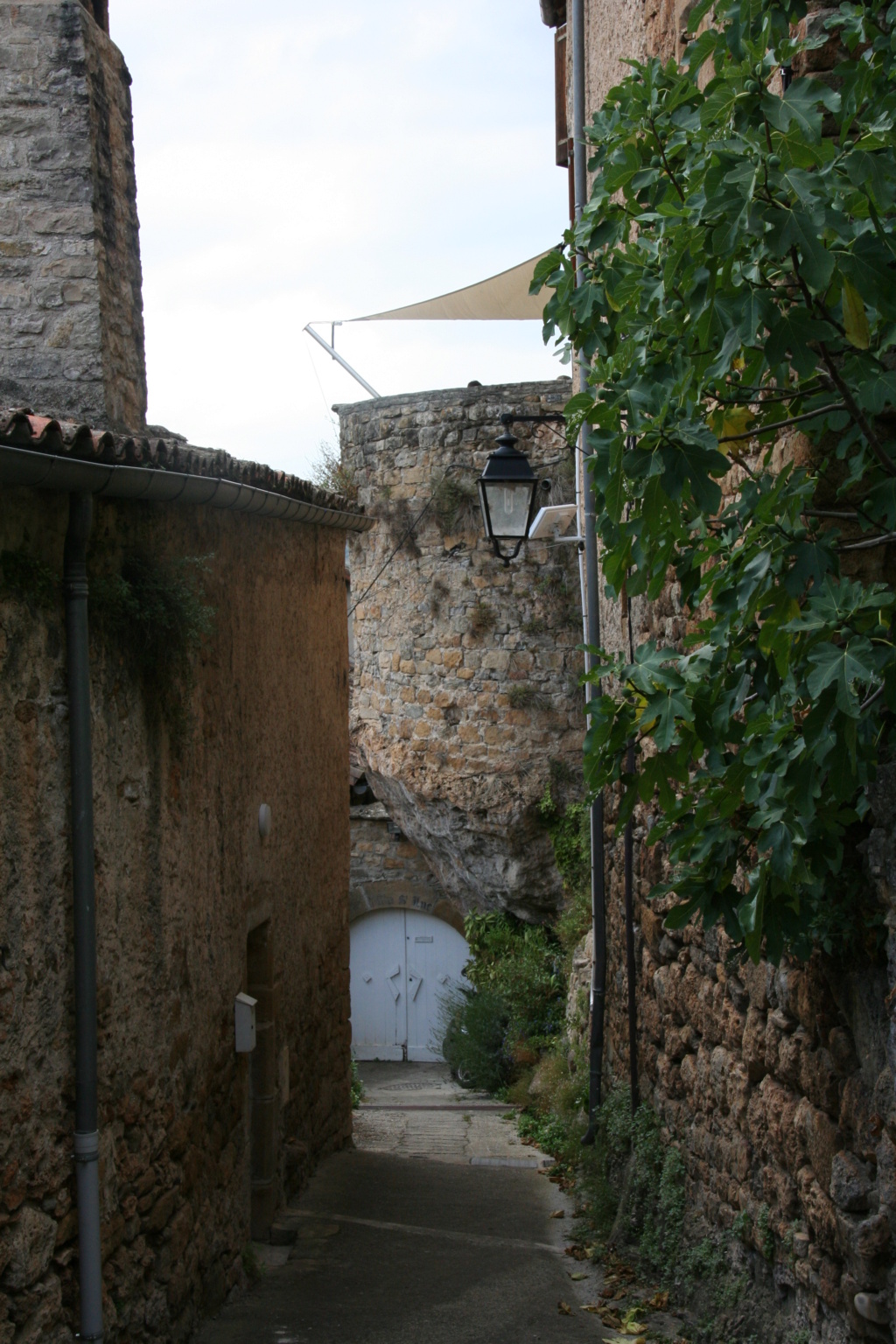 Eté 2022, Hte Loire, Gard, Lozère et plus si affinités. Img_9116