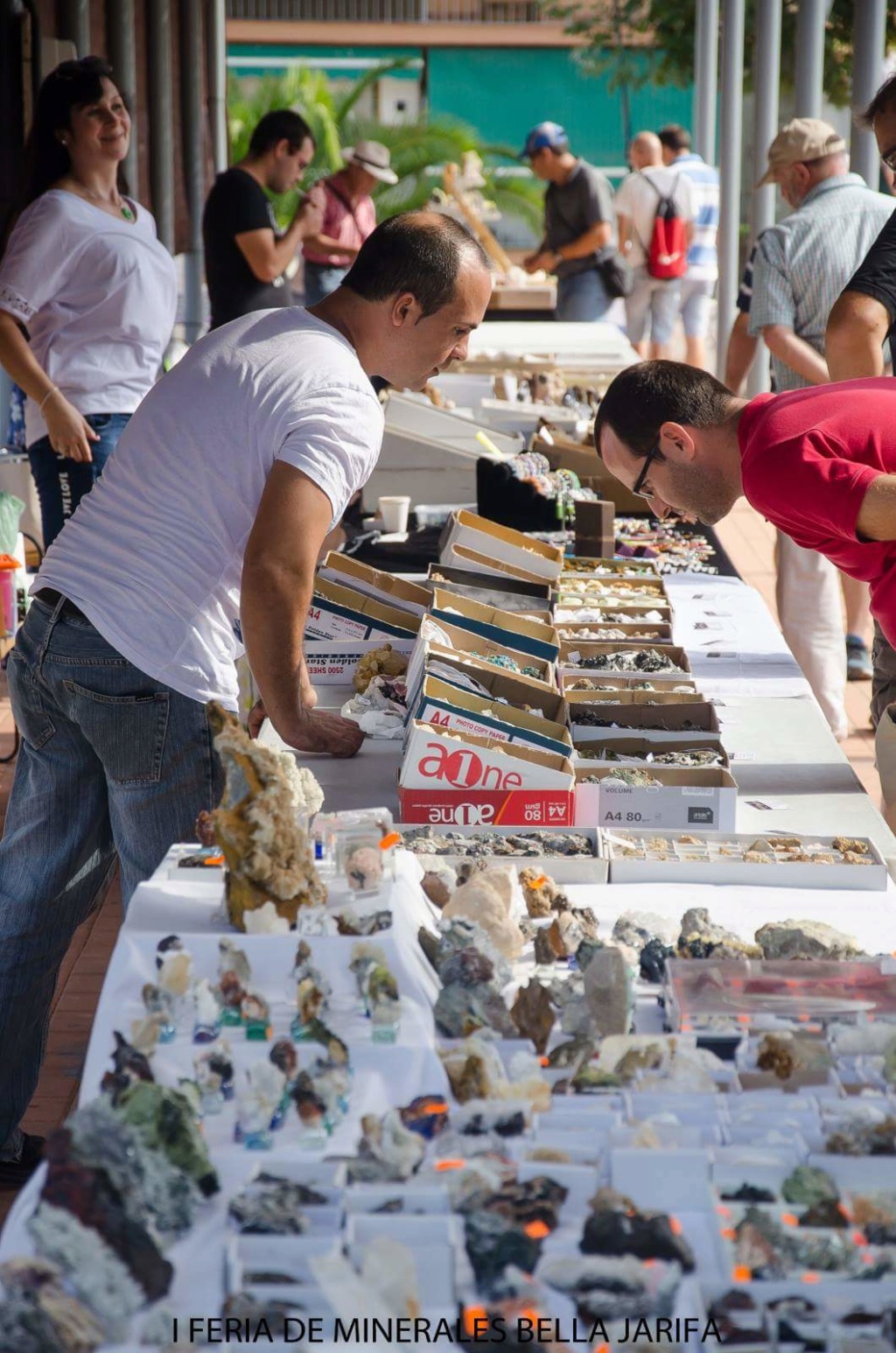 I Feria de minerales intercambio y venta de Cártama (MÁLAGA) - Página 3 Fb_img46