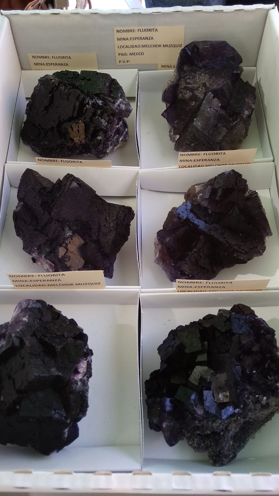 I Feria de minerales intercambio y venta de Cártama (MÁLAGA) - Página 5 Img-2033