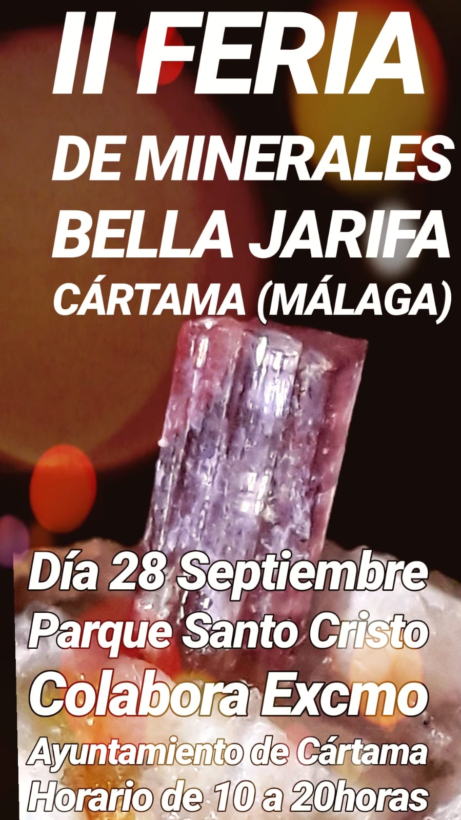 II Feria de minerales de la Bella Jarifa Cártama Málaga 2019 Img-2256