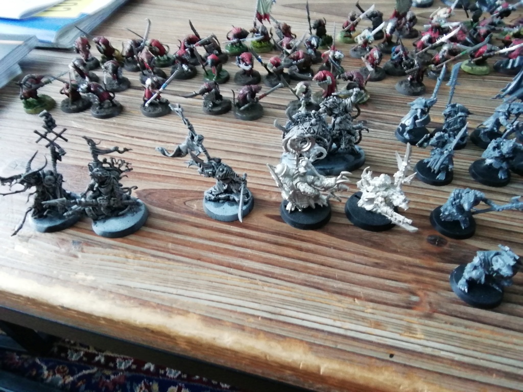 Vente skaven  Img_2027