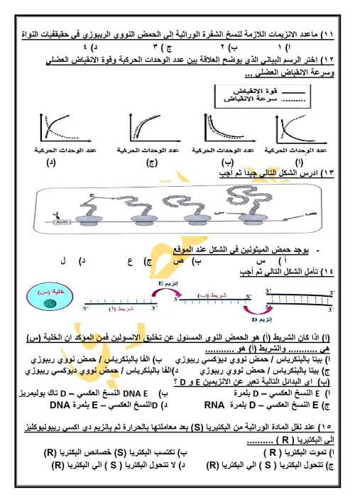 ثانوية_عامة - ملخص جريدة الوطن في الاحياء للصف الثالث الثانوي PDF  3_img227