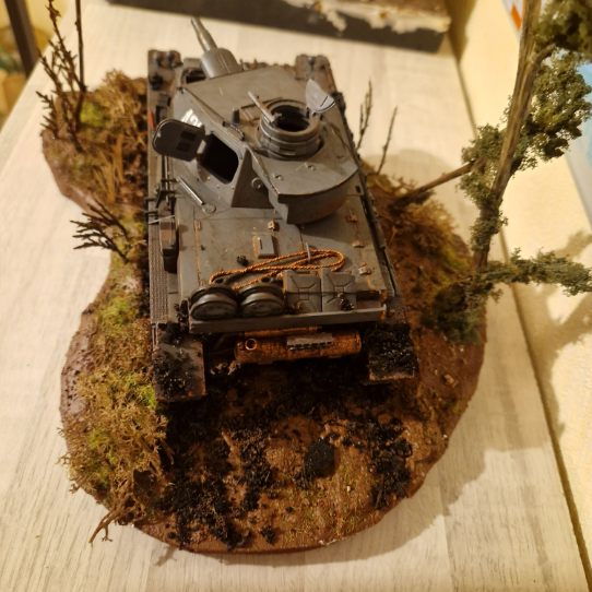 Petite présentation char panzer 1/35 Char_110