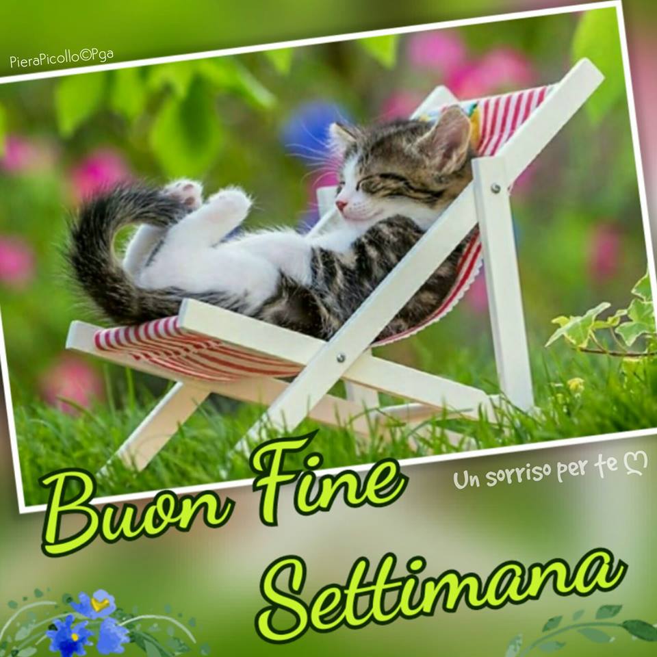 Quattro amici al Bar , tra discorsi , due caffè e musica...!!! - Pagina 2 Buon-w11