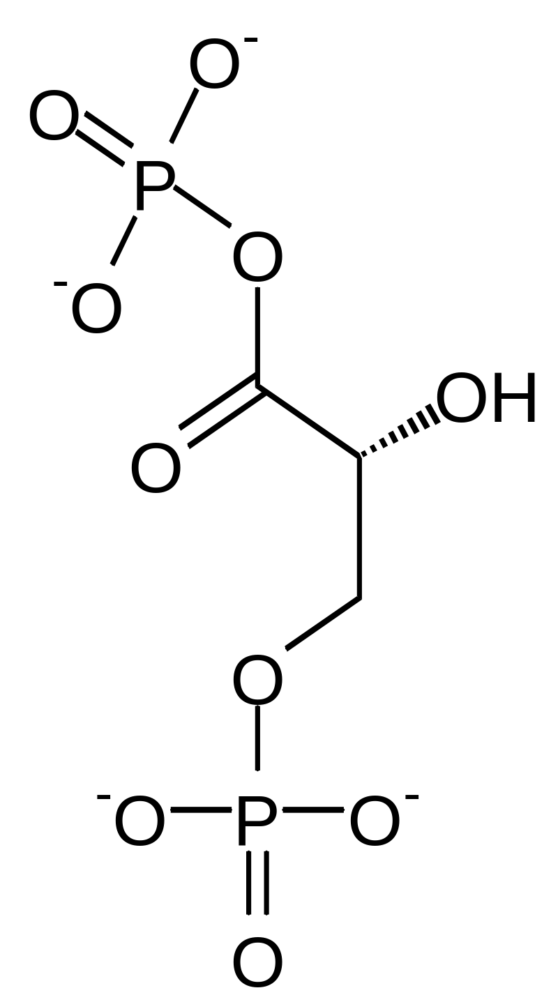 Etape 5 glycolyse 13bpg10