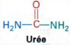 Banque de QCM, cycle de l’urée Captur20