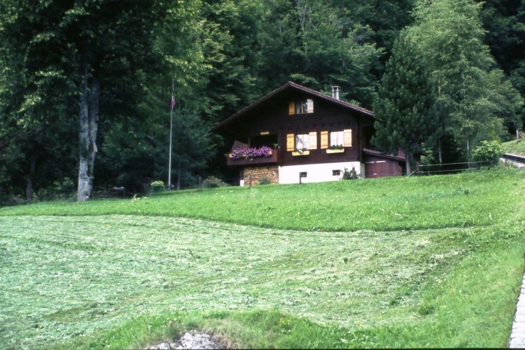 Bilder von Bahnen in der Schweiz, von Gerhard Dsc00719