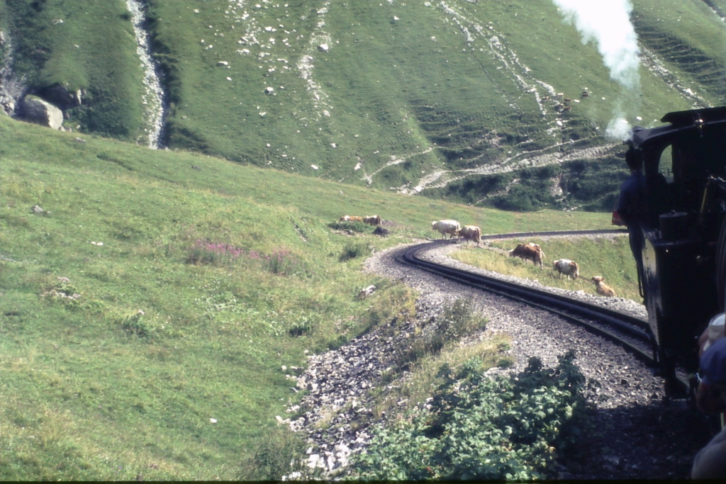 Bilder von Bahnen in der Schweiz, von Gerhard Dsc00737