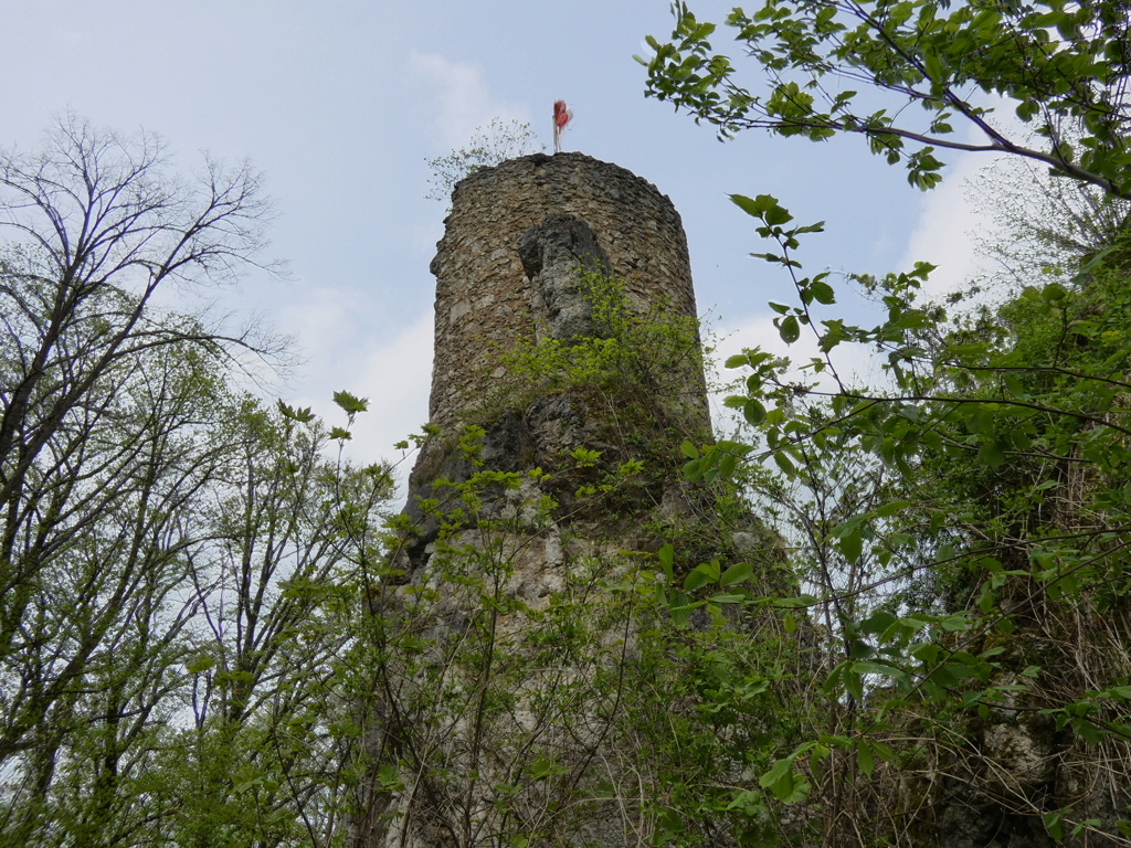 Burg oder Burgruine ? P1000944