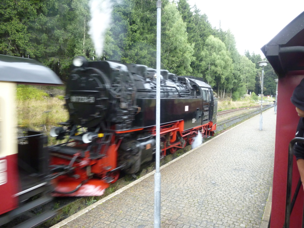Bilder von der Brockenbahn, Teil 2, von Gerhard P1060532