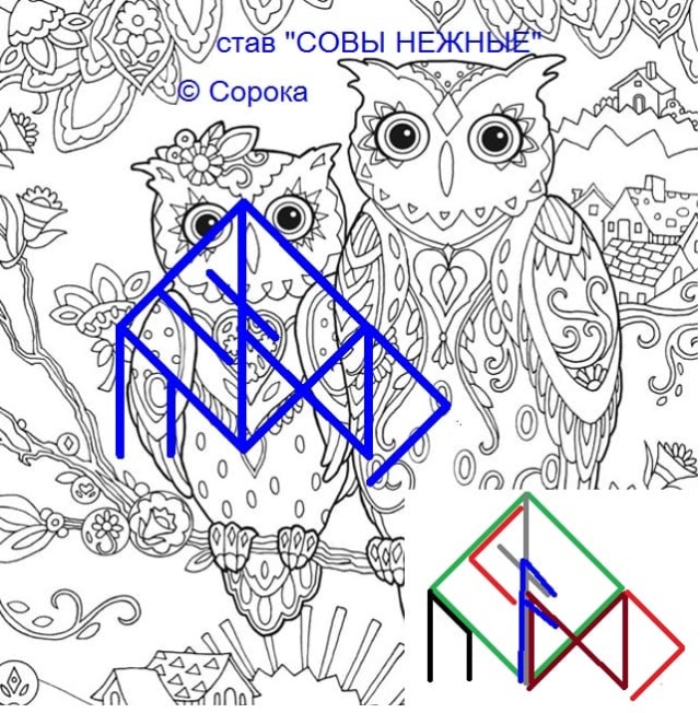 Став "Совы нежные"