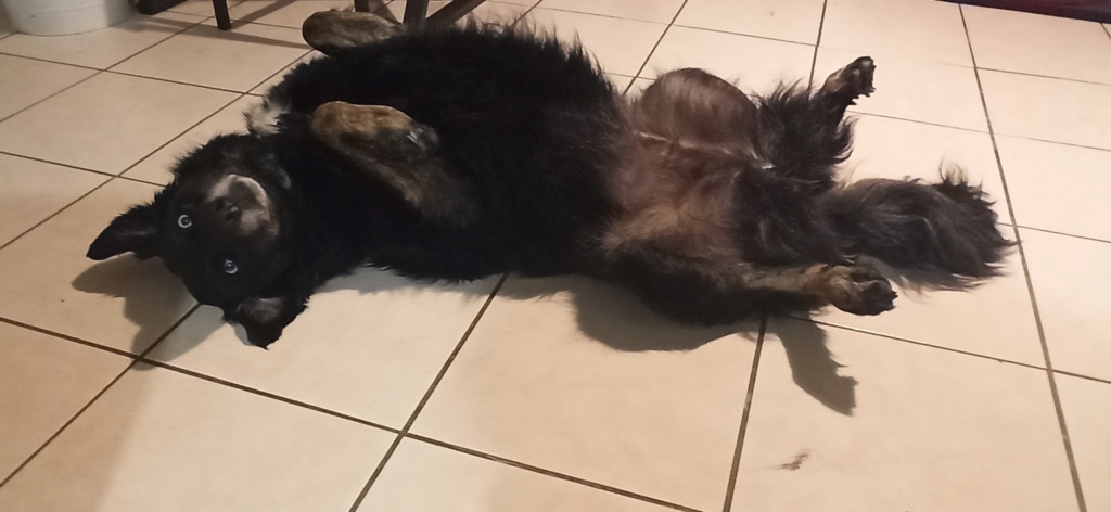 KIRA Img_2019