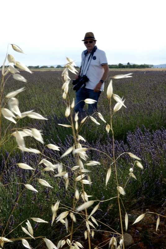 Valensole - 30 Juin 2022 Dsc04514