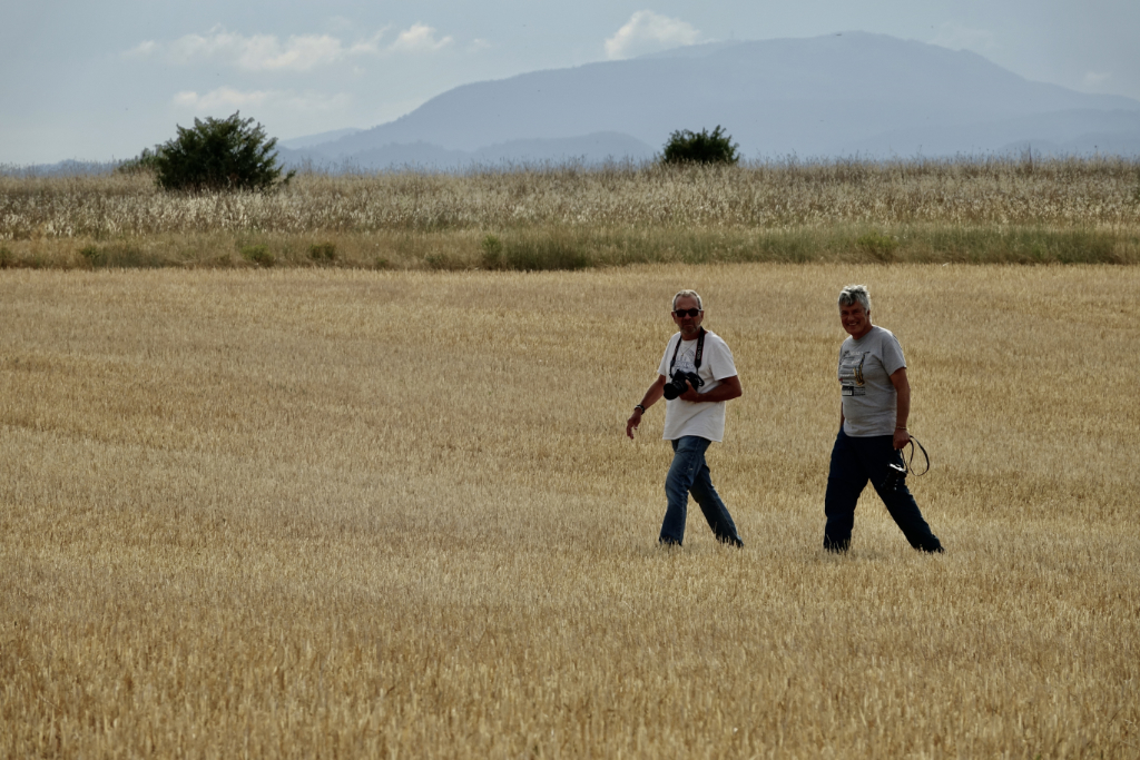 Valensole - 30 Juin 2022