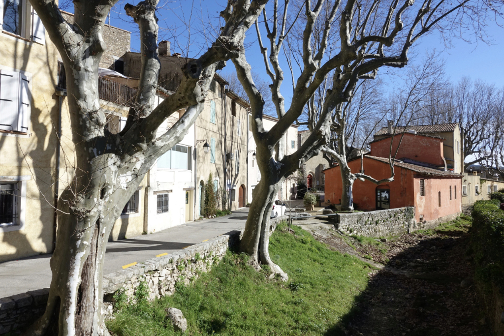 Signes et La Roquebrussanne - 10 février 21 Dsc08721