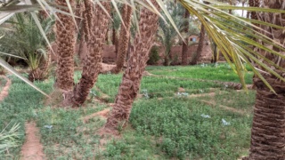 Deux copines séniores en balade au Sud du Maroc (8-23 octobre 2022)  Pxl_2108