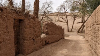 Deux copines séniores en balade au Sud du Maroc (8-23 octobre 2022)  Pxl_2110