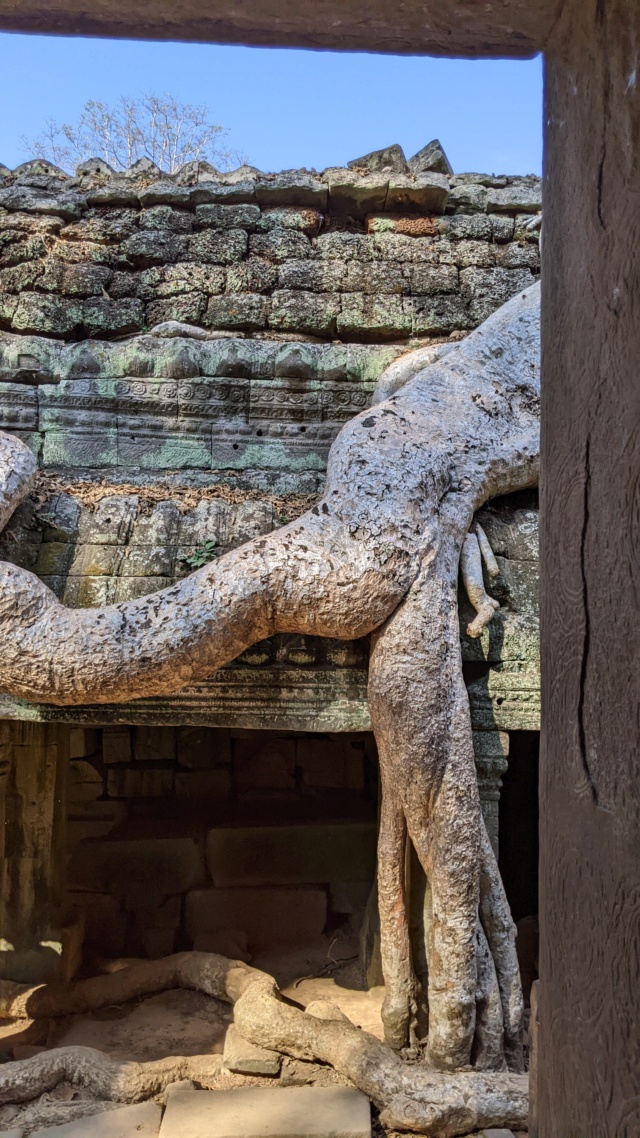 Carnet de voyage 10 jours à Siem Reap et visite d'Angkor  Pxl_2875