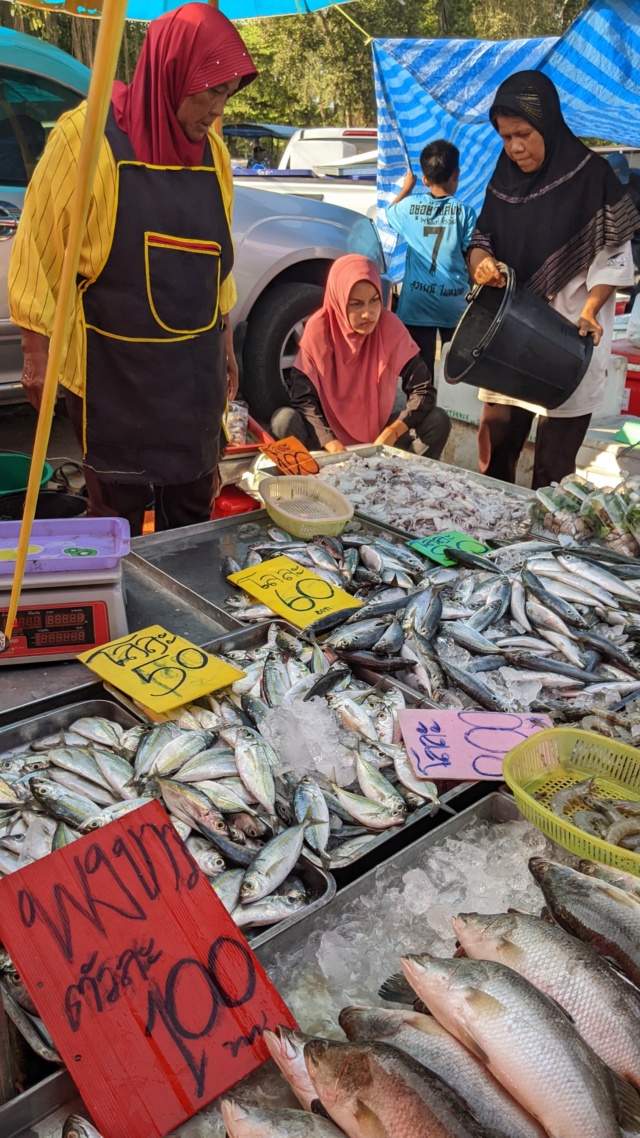 10 jours au sud de la Thailande (Phuket, Ko Yao Noi) Pxl_2981