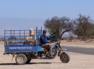 Deux copines séniores en balade au Sud du Maroc (8-23 octobre 2022)  Screen29