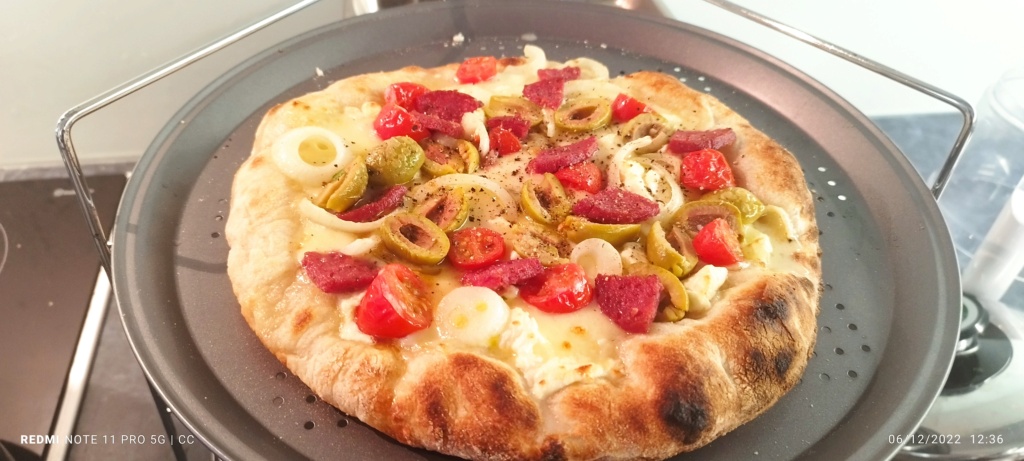 PIZZA HYBRIDE Img_2015