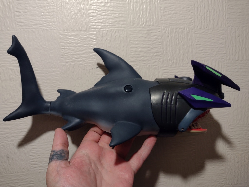 Help needed unidentifed Shark! Img_1326