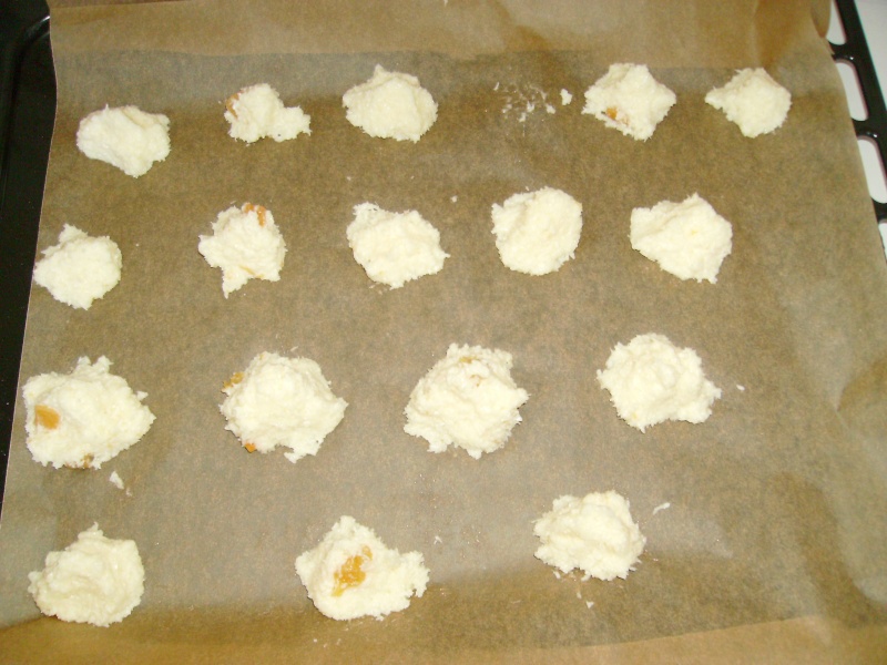 macaron aux cocos (sans oeufs / sans lait / sans gluten) Pict0126