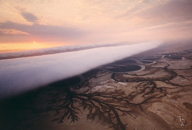 Le nuage de gloire du matin  Carpen19